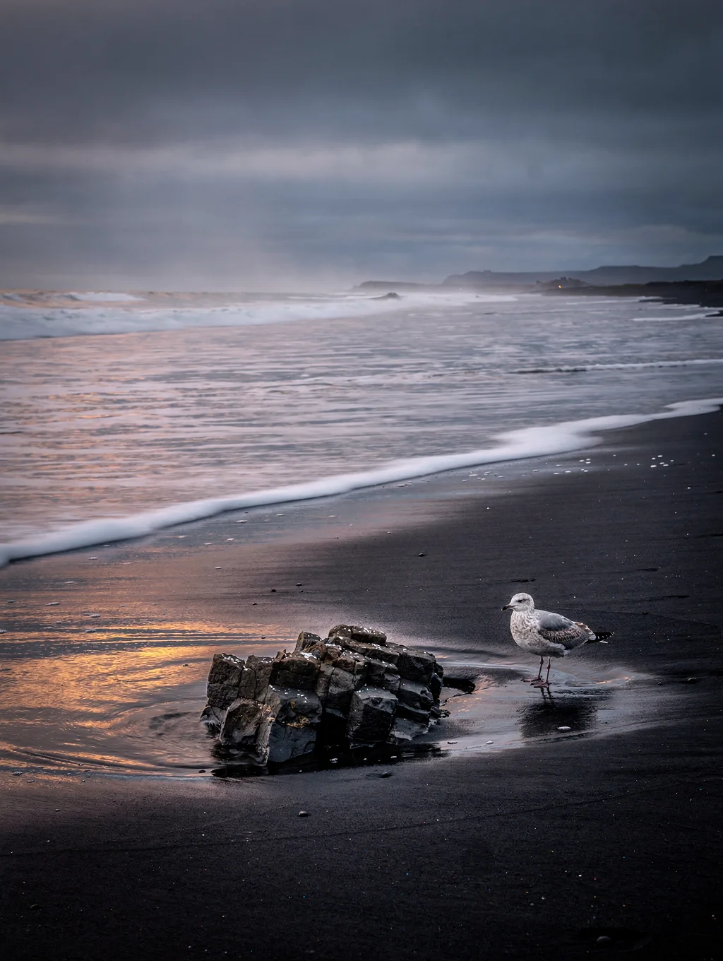 Black sand coastline in Iceland